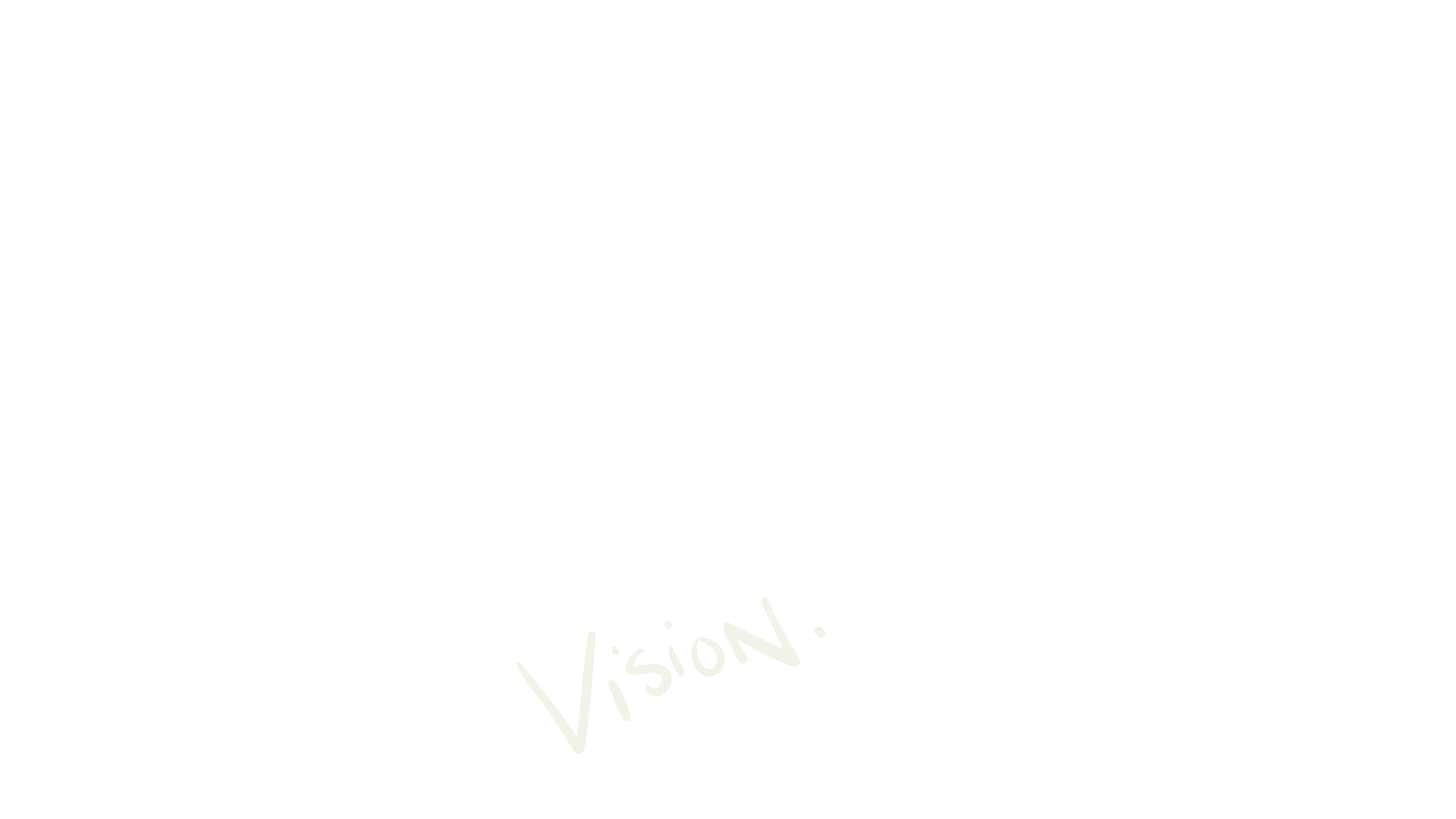 Vision.